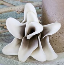 28523 Decorazione Fiore Foam