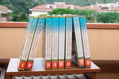 Enciclopedia nel meraviglioso - enciclopedia,