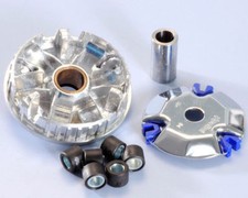 241.647 VARIATORE POLINI per