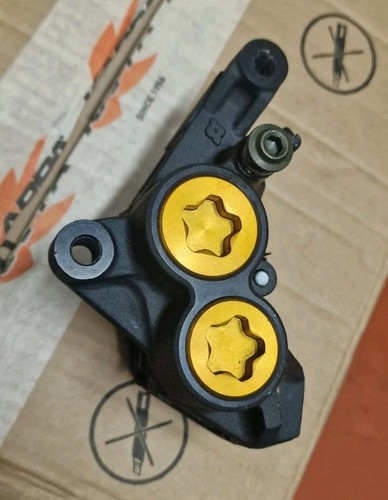 Pinza freno anteriore sinistro - anteriore,