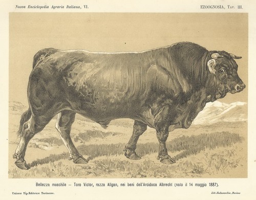 AGRARIA_ZOOTECNIA_ZOOLOGIA_VET