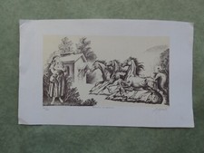 Zuppelli stampa boschi e