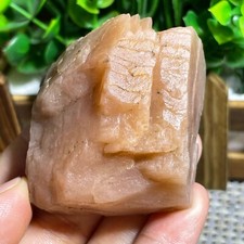 ULTRA RARA PIETRA SOLARE DORATA NATURALE STELLA CRISTALLO GREZZO GEMMA ESEMPLARE 124g A96