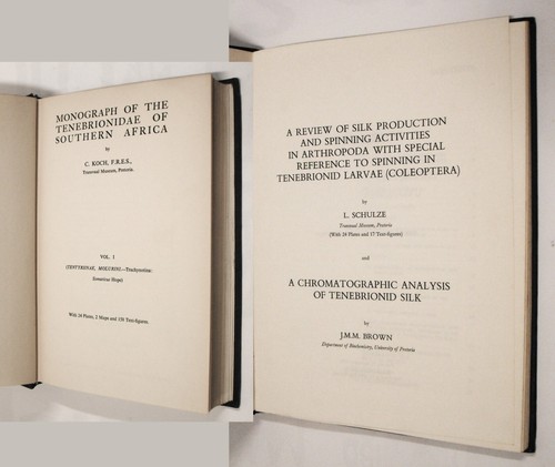 Entomologia tenebrionidae - entomologia,