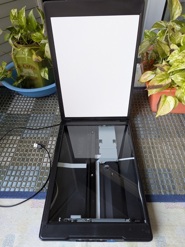 Epson perfection v39ii scanner - perfection,
