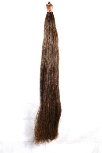 Nuovo vero pelo - , cavallo