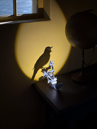Lampada usignolo led - lampada, da