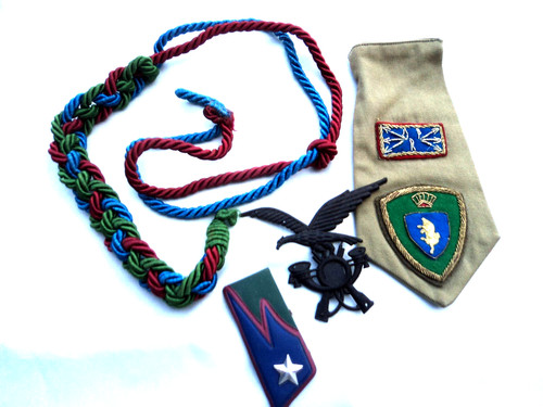 Alpini genio scudetto mostrine - genio,