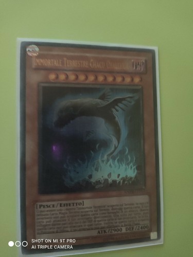Yugioh immortale - yugioh, gi