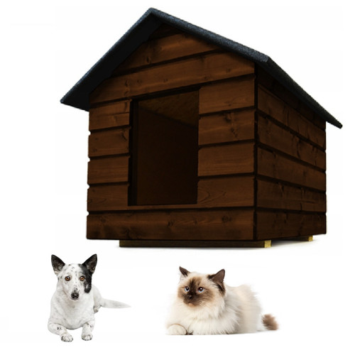 Qls cani casa - cani-, gatto