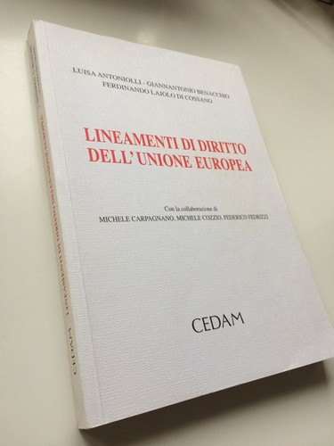 Lineamenti diritto - lineamenti,