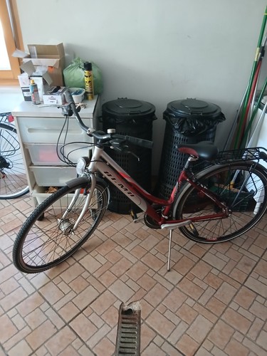 Bicicletta donna marca - donna, olmo