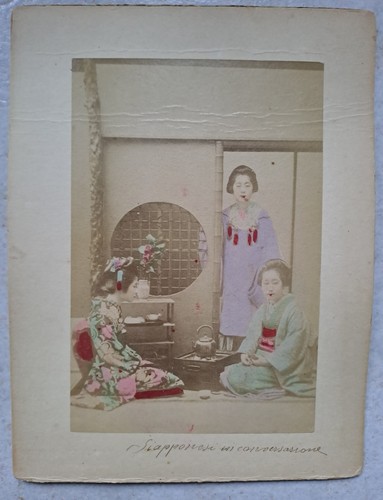 Fotografie cartone rigido - fotografie,