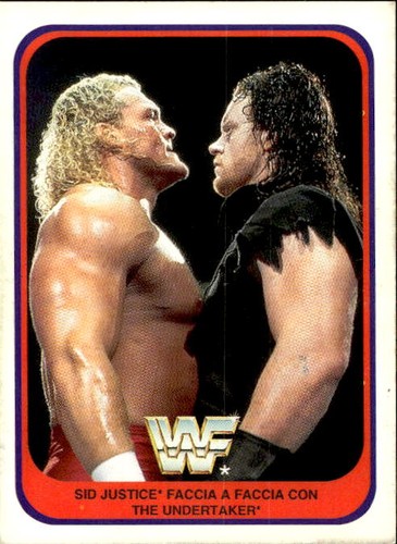 Card wwf wrestling merlin 1991 - card,