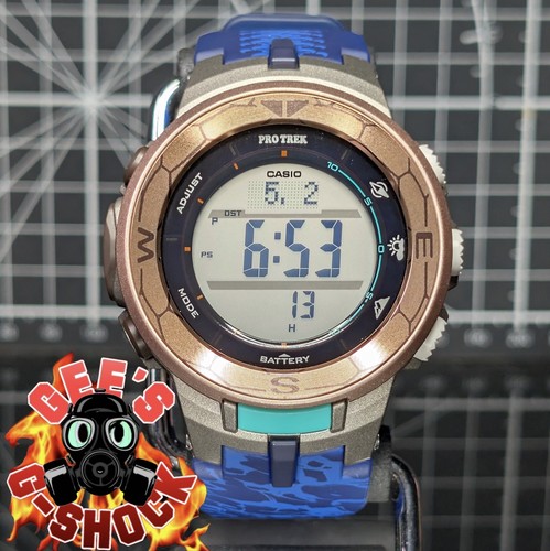Casio loggerhead turtle - loggerhead,
