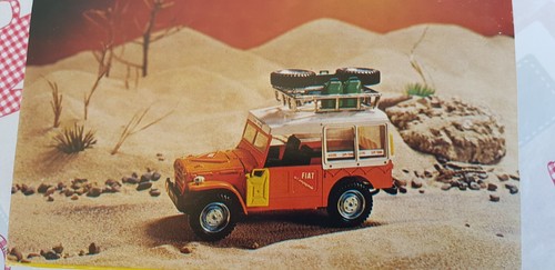 Fiat campagnolo barlux - barlux, 73053