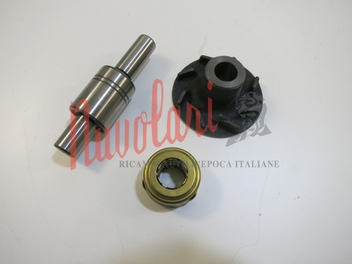 Kit revisione pompa acqua - revisione,