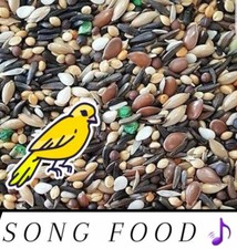 Canary Song Food Treat per