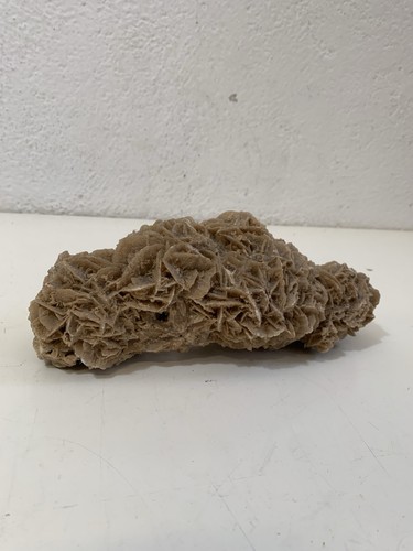 Rosa del deserto - del,