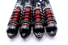 Ammortizzatori Arrma 1/10