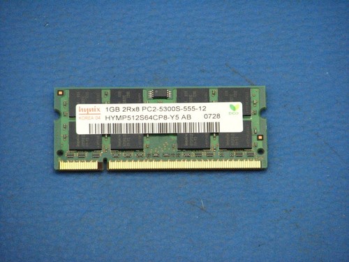 1gb ram 2rx pc2 5300s - 555, 12