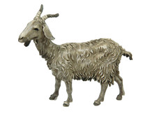 Capra Landi Moranduzzo per