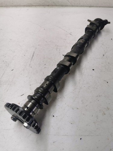 Honda cbr 600 2003 - 600, rr