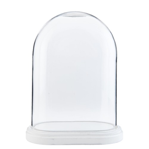 Espositore vetro cloche - espositore,