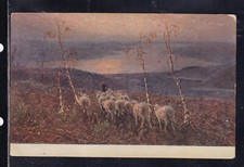 Cartolina A. Tominetti il Lago Maggiore YB95