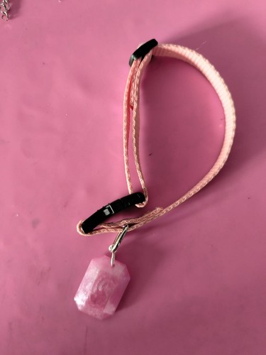 Medaglietta cane