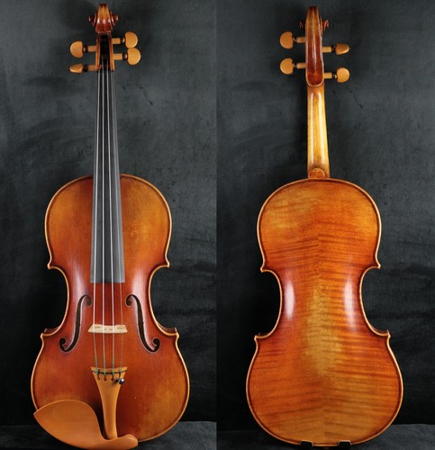 Fantastico violino sonoro dopo