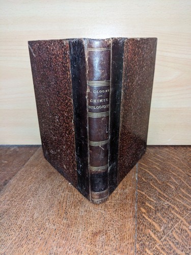 Libro antico clogne guida - -,