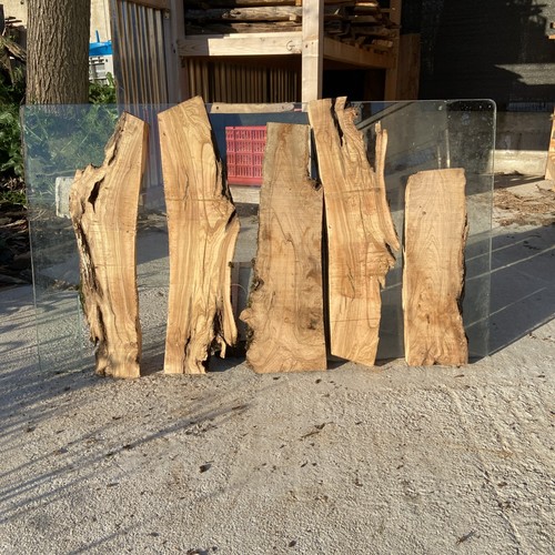 Tavole legno ulivo 5 - legno, di