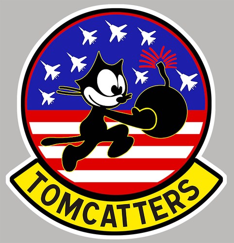 Grumman tomcat f14 tomcatters - grumman,