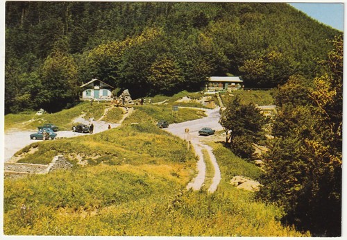 Passo della calla - calla,