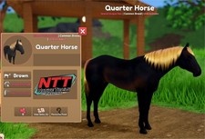 Wild Horse Islands - marrone