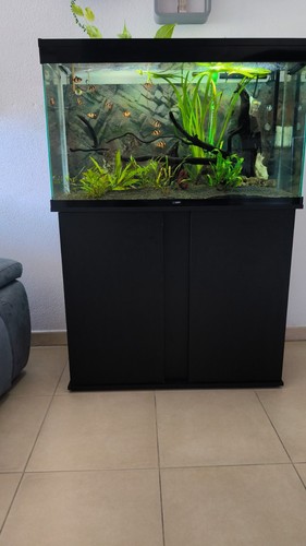 Acquario rettangolare