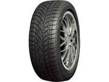 Pneumatici Invernali Roadx