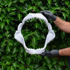  Tiger Shark Jaws 40cm 3D Printed – Detailed Replica Model Kit (PLA+ White)