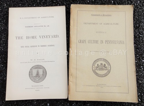 Lot 1902 and 1912 - 1912, antique