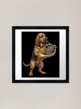 Bloodhound che suona corno