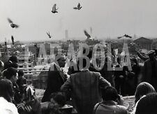Foto Vintage Animali Parigi Piccioni viaggiatori in cielo 1973 stampa 24x18 cm