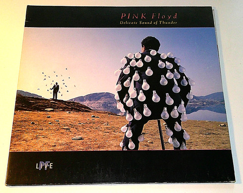 Pink floyd delicate sound - -,