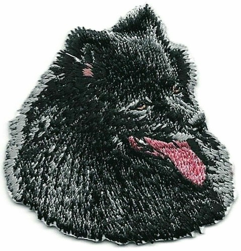 Toppa razza spitz tedesca - di,