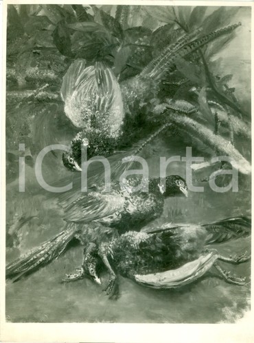 1935 milano quadro fagiani - milano,
