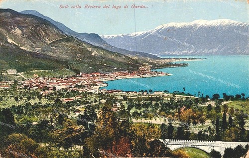 Df341 cartolina - df341,