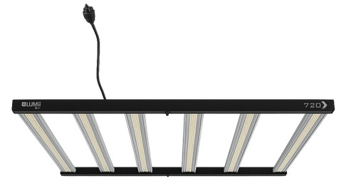 Lumii xledv6 720w - lumii, lampada