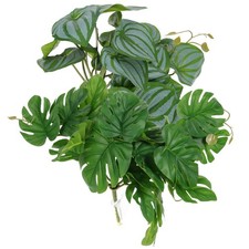  2 Pcs Piante Per Terrarium Acquario Finte D'acquario Artificiali Di Terrario