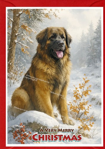 Biglietto natale leonberger - biglietto,