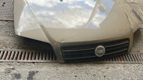 Cofano anteriore fiat - anteriore, 3